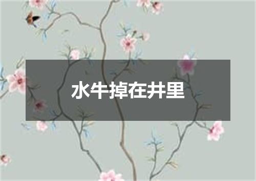 水牛掉在井里