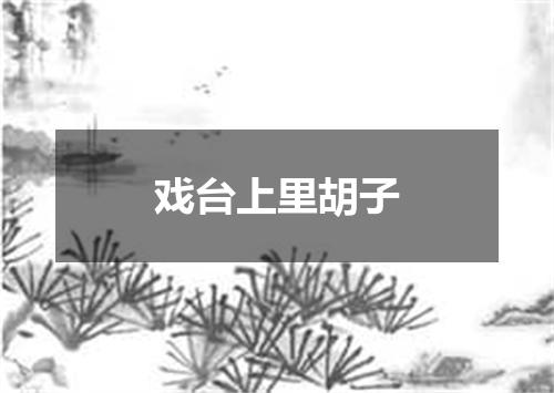 戏台上里胡子