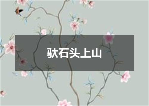 驮石头上山