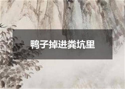 鸭子掉进粪坑里