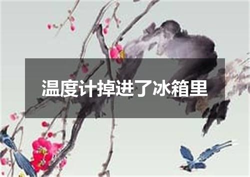 温度计掉进了冰箱里