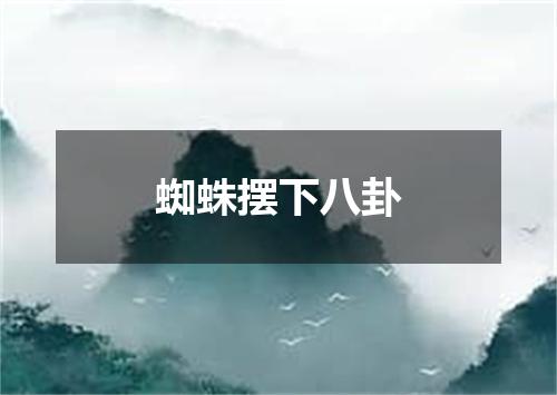 蜘蛛摆下八卦