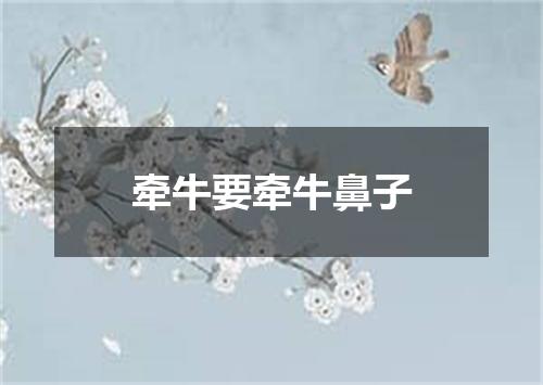牵牛要牵牛鼻子