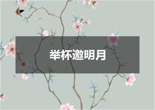 举杯邀明月