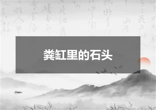 粪缸里的石头