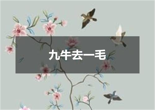 九牛去一毛
