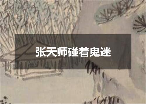 张天师碰着鬼迷