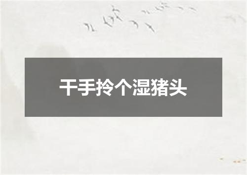 干手拎个湿猪头