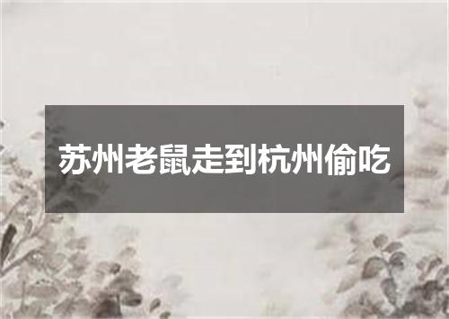 苏州老鼠走到杭州偷吃
