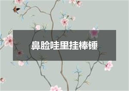鼻脸哇里挂棒锤