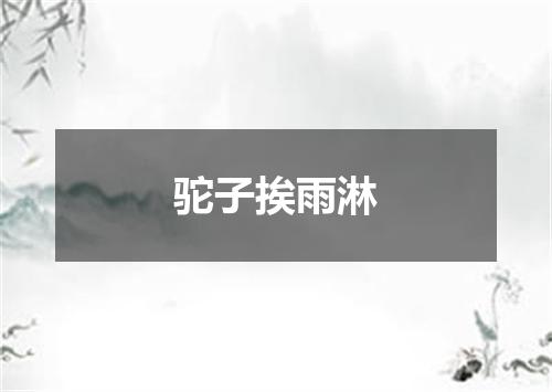 驼子挨雨淋