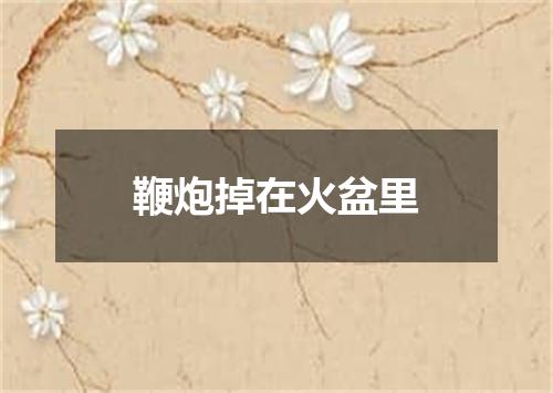 鞭炮掉在火盆里