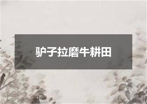 驴子拉磨牛耕田