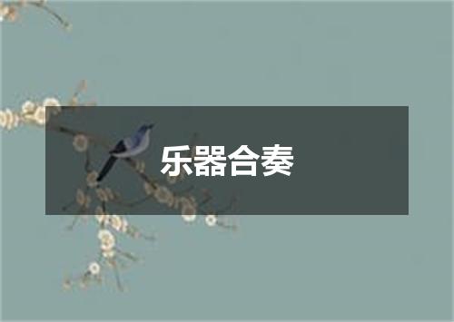 乐器合奏