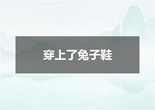 穿上了兔子鞋