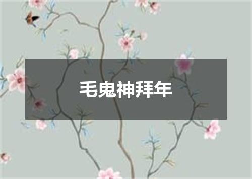 毛鬼神拜年