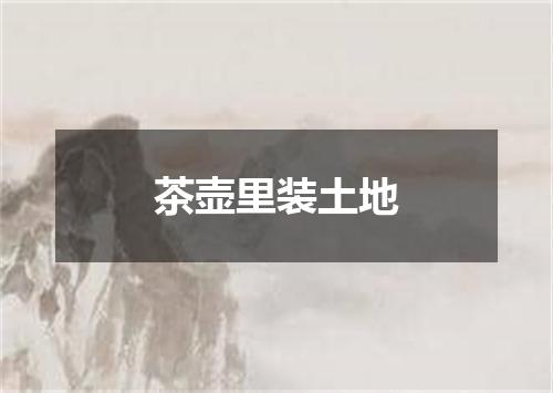 茶壶里装土地