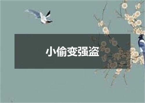 小偷变强盗