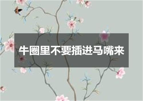 牛圈里不要插进马嘴来