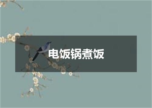 电饭锅煮饭