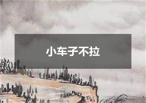 小车子不拉
