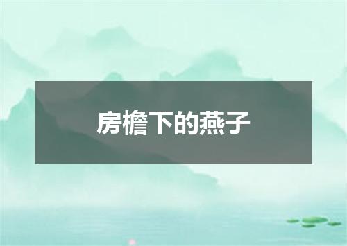 房檐下的燕子