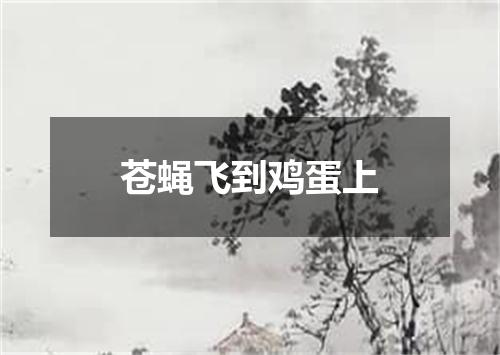 苍蝇飞到鸡蛋上