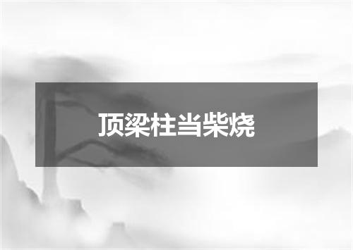 顶梁柱当柴烧
