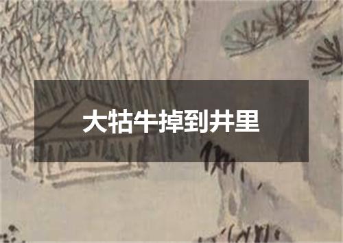 大牯牛掉到井里