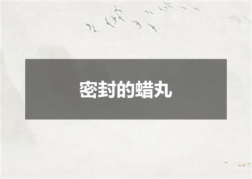 密封的蜡丸