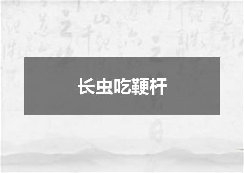 长虫吃鞕杆