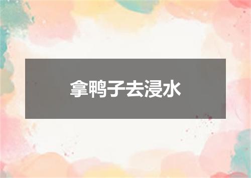 拿鸭子去浸水