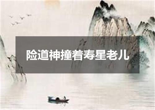 险道神撞着寿星老儿