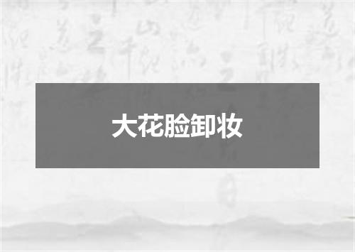 大花脸卸妆