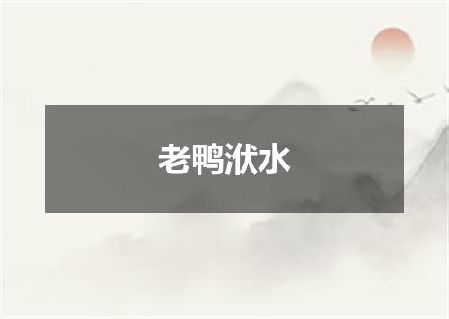老鸭洑水