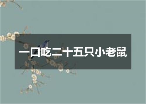 一口吃二十五只小老鼠