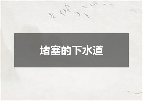 堵塞的下水道