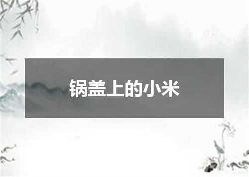 锅盖上的小米