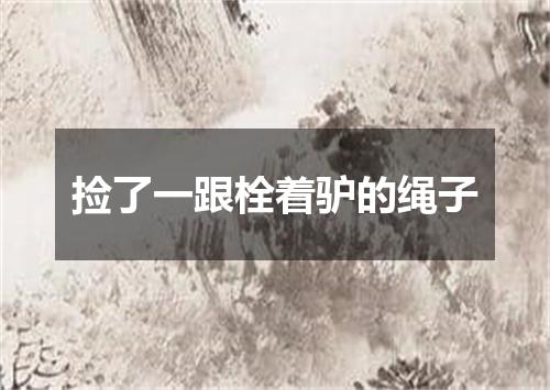 捡了一跟栓着驴的绳子