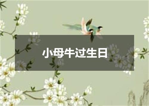小母牛过生日