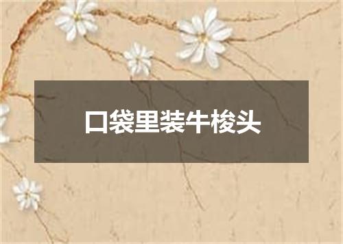 口袋里装牛梭头