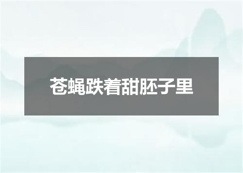 苍蝇跌着甜胚子里