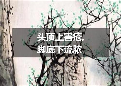 头顶上害疮,脚底下流脓