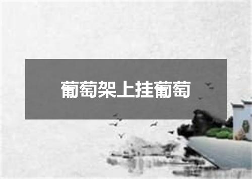 葡萄架上挂葡萄