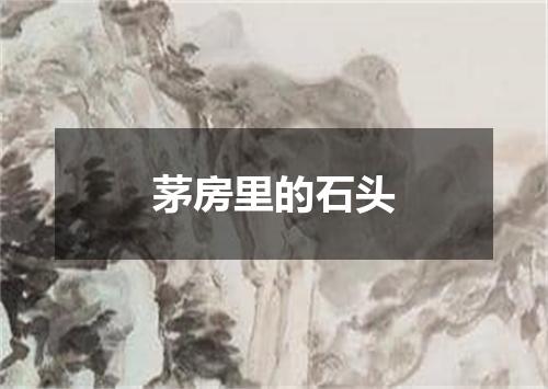 茅房里的石头