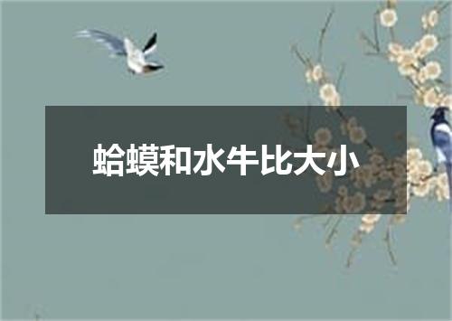 蛤蟆和水牛比大小