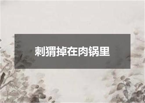 刺猬掉在肉锅里