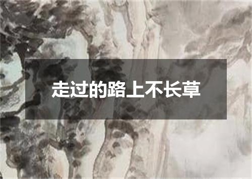 走过的路上不长草