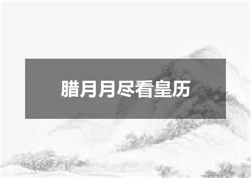 腊月月尽看皇历