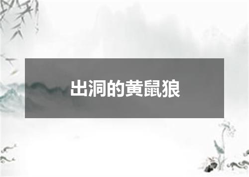 出洞的黄鼠狼